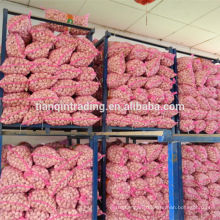 20kg bags garlic for Bangladesh